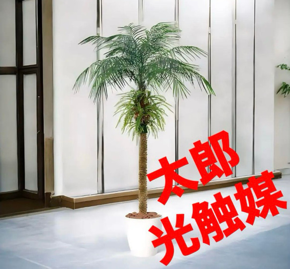 光触媒 人工観葉植物 フェイクグリーン フェニックス・ロベレニー PLUS