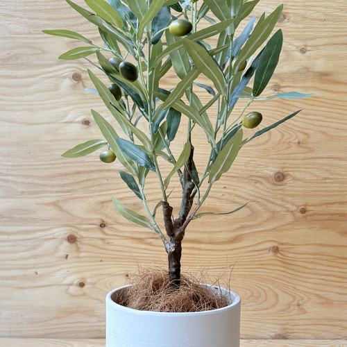 【超リアルなオリーブの木】実つきフェイクグリーンで叶える憧れのオリーブライフ 一点のみ やっぱり一番人気 憧れのオリーブの木 実付き リアル質感に