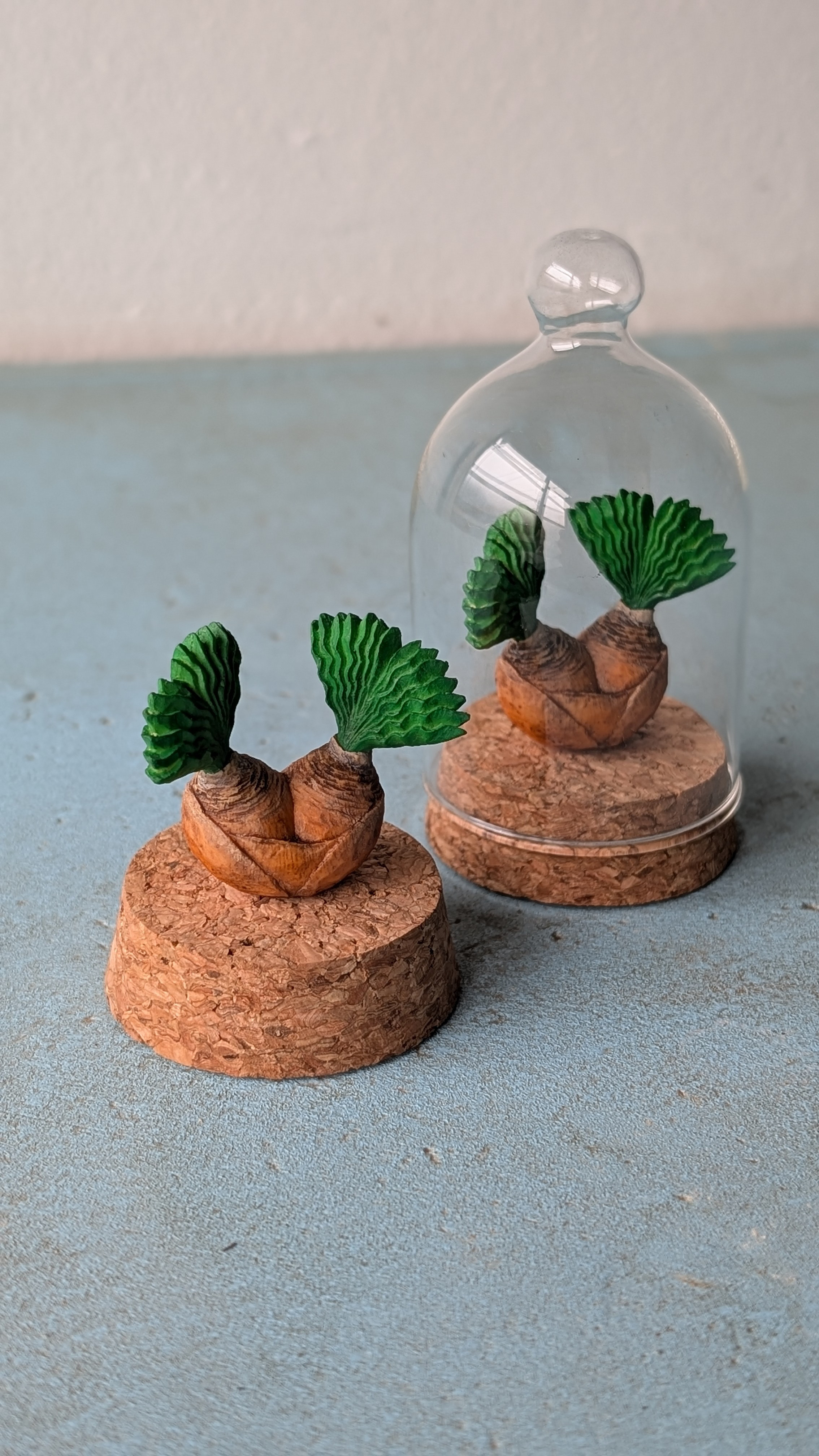 (ＣＰ)Boophan haemanthoides