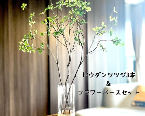 割れない花瓶セット】ドウダンツヅジ（80㎝×3本）＆選べる花瓶セット