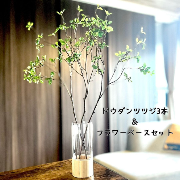 割れない花瓶セット】ドウダンツヅジ（80㎝×3本）＆選べる花瓶セット