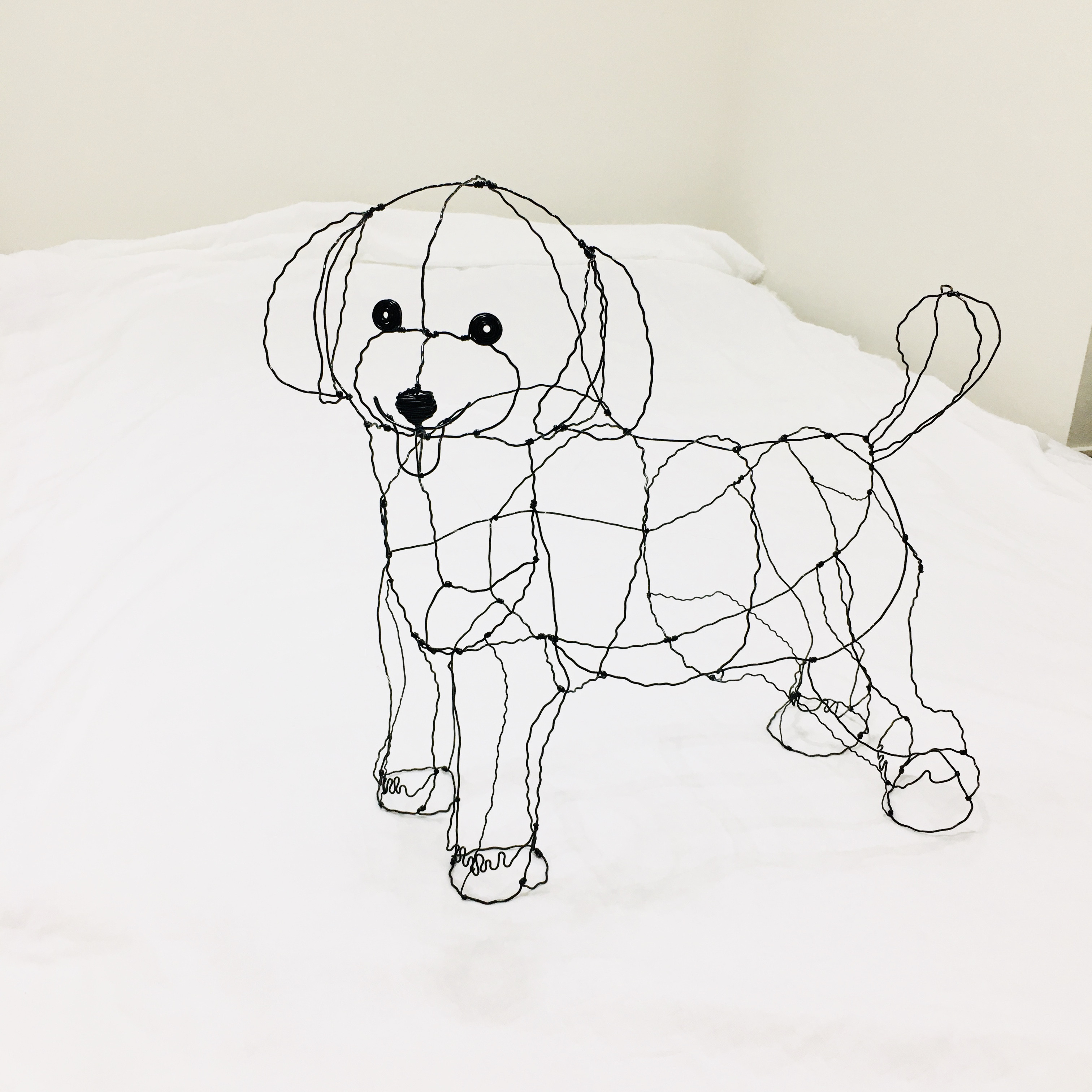 こっち見てるトイプードルのワイヤーアート wireart toy poodle. 毛並みと模様。 かわいい感じのモチーフは