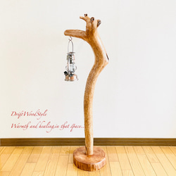 流木インテリア 芸術的な造形が美しい流木スタンド ランタンやエアプラントを飾れる置物 北欧 照明 N94 11枚目の画像