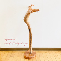 流木インテリア 芸術的な造形が美しい流木スタンド ランタンやエアプラントを飾れる置物 北欧 照明 N94 13枚目の画像