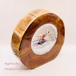 海の世界を閉じ込めた流木アート 浅瀬を歩くシオマネキ カニ 水中ジオラマ 流木 オブジェ アクアリウム N5 8枚目の画像