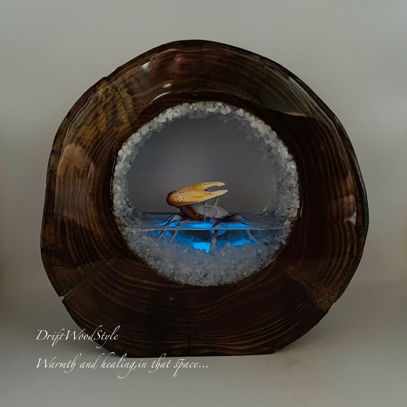 海の世界を閉じ込めた流木アート 浅瀬を歩くシオマネキ カニ 水中ジオラマ 流木 オブジェ アクアリウム N5 2枚目の画像