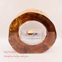 海の世界を閉じ込めた流木アート 浅瀬を歩くシオマネキ カニ 水中ジオラマ 流木 オブジェ アクアリウム N5 3枚目の画像