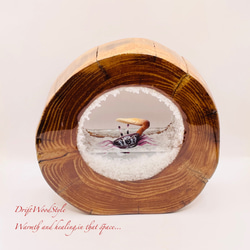 海の世界を閉じ込めた流木アート 浅瀬を歩くシオマネキ カニ 水中ジオラマ 流木 オブジェ アクアリウム N5 7枚目の画像