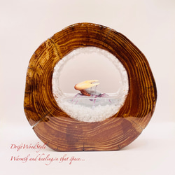 海の世界を閉じ込めた流木アート 浅瀬を歩くシオマネキ カニ 水中ジオラマ 流木 オブジェ アクアリウム N5 1枚目の画像