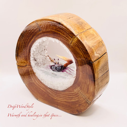 海の世界を閉じ込めた流木アート 浅瀬を歩くシオマネキ カニ 水中ジオラマ 流木 オブジェ アクアリウム N5 9枚目の画像