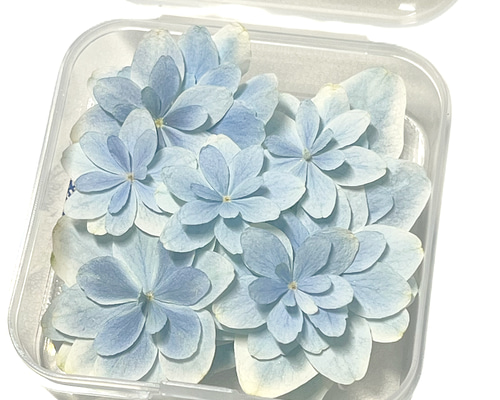 ドライフラワー】ミニサイズ ❥ 紫陽花 万華鏡 レジン・樹脂 Dry