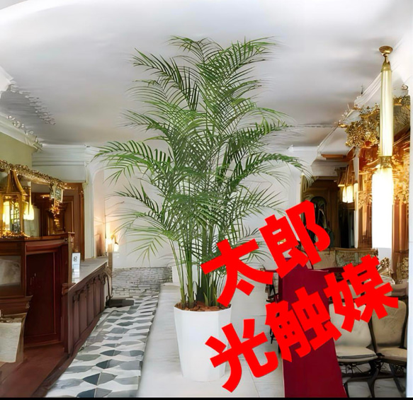 光触媒　人工観葉植物　ウォールグリーン　フェイクグリーン　アレカヤシ220PE 光触媒 人工観葉植物 ウォールグリーン フェイクグリーン アレカヤシ