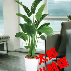 光触媒 人工観葉植物 ウォールグリーン フェイクグリーン 正月
