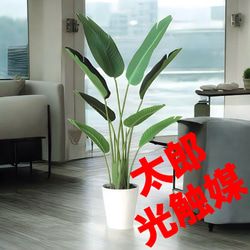 光触媒 人工観葉植物 ウォールグリーン フェイクグリーン サンスベリア