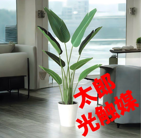 光触媒 人工観葉植物 ウォールグリーン フェイクグリーン