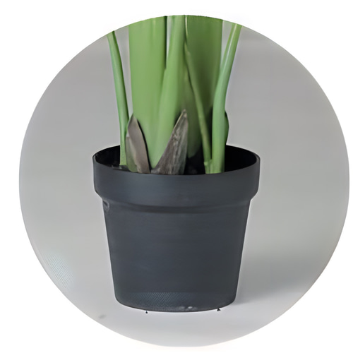 光触媒　人工観葉植物　ウォールグリーン　フェイクグリーン　オーガスタ110 光触媒 人工観葉植物 ウォールグリーン フェイクグリーン オーガスタ