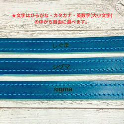 小型～中型用スライドコントロールハーネス【印傳】 8枚目の画像