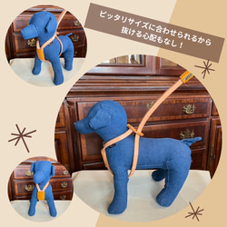 小型～中型用スライドコントロールハーネス【印傳】 10枚目の画像