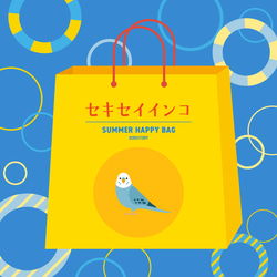 【ご予約受付中】SUMMER HAPPY BAG 2025（BIRDSTORY / セキセイインコ） 1枚目の画像