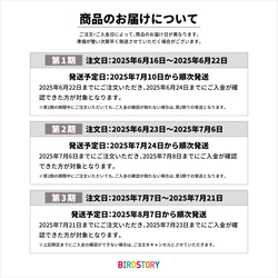 【ご予約受付中】SUMMER HAPPY BAG 2025（BIRDSTORY / セキセイインコ） 4枚目の画像