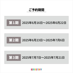 【ご予約受付中】SUMMER HAPPY BAG 2025（BIRDSTORY / セキセイインコ） 3枚目の画像