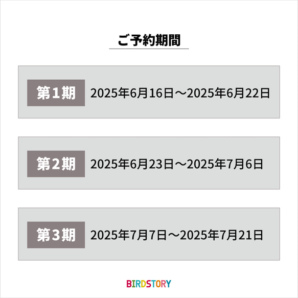 【ご予約受付中】SUMMER HAPPY BAG 2025（BIRDSTORY / セキセイインコ） 3枚目の画像