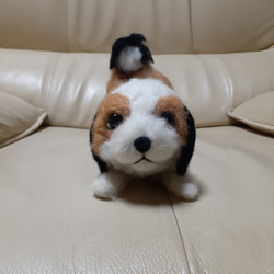 羊毛フェルト シーズー 羊毛フェルト Kingこうた 通販 17575929