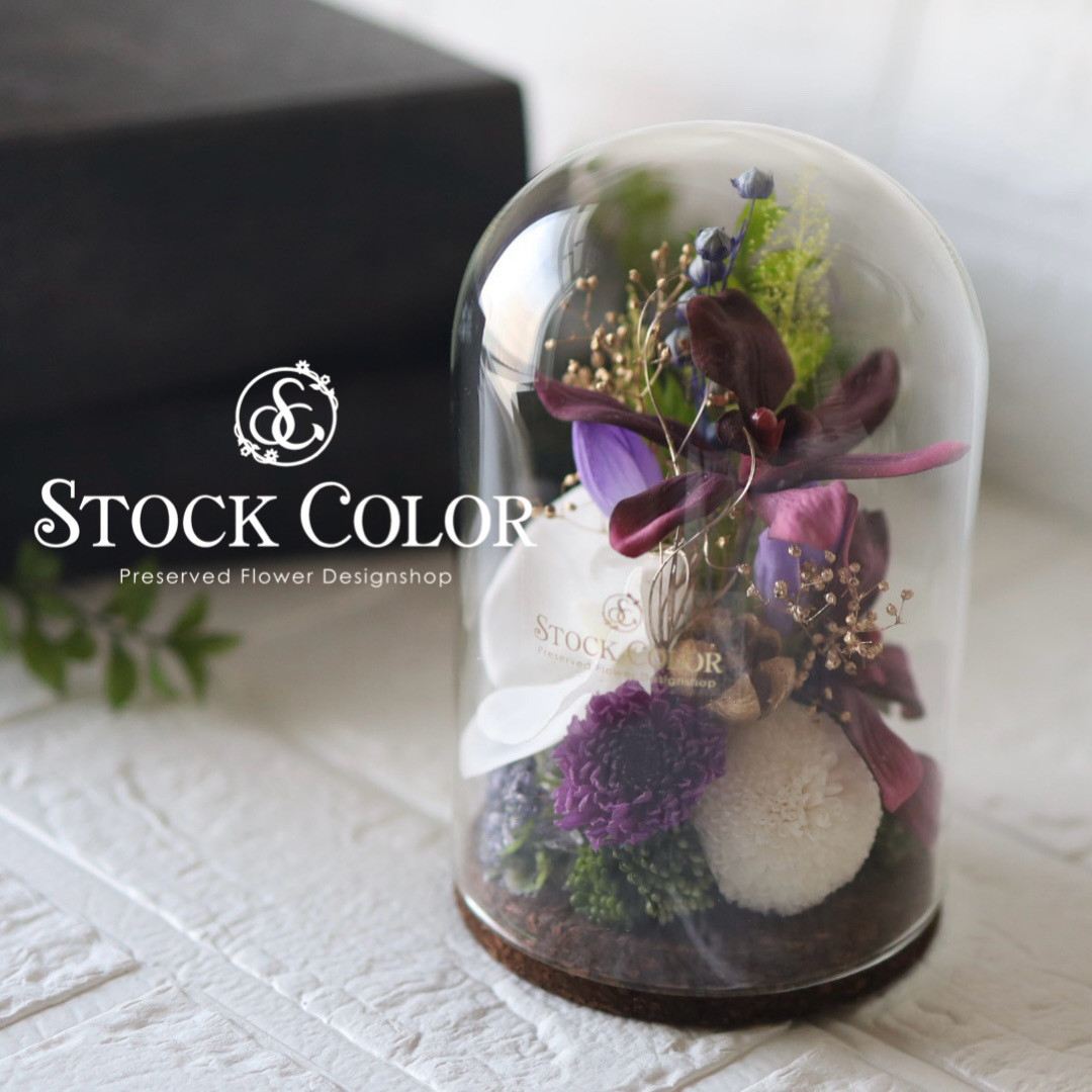 仏花 カトレアと胡蝶蘭のガラスドームアレンジ(L)＊プリザーブドフラワー お供え花 新盆 初盆 お盆 お彼岸 喪中見舞い