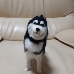 羊毛フェルト 甲斐犬 羊毛フェルト Kingこうた 通販 16436002｜Creema