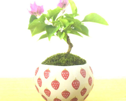 5536a17028141eb25981e910e39bc9