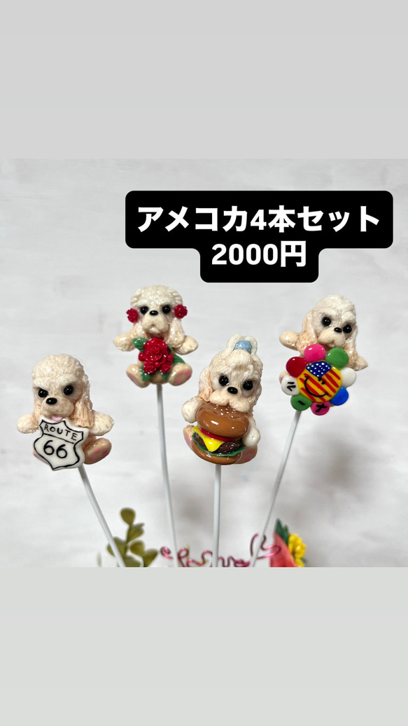 アメコカのピック(粘土細工)レジンコーティング 1枚目の画像