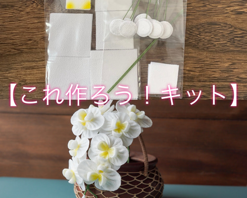 f44cd5b31ed7d27a956646a2ab32fa