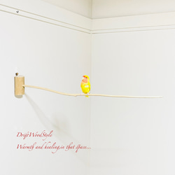 流木インテリア ８０ｃｍの流木枝を使った小鳥の止まり木 インコの壁掛けパーチ ピン止めタイプ ビス止め変更可 N129 1枚目の画像