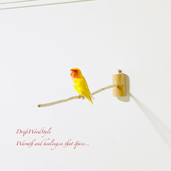 流木インテリア ８０ｃｍの流木枝を使った小鳥の止まり木 インコの壁掛けパーチ ピン止めタイプ ビス止め変更可 N129 4枚目の画像