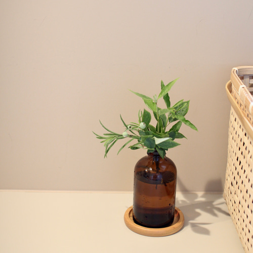 木のコースター Walnut コースター petalwork 通販 19463572