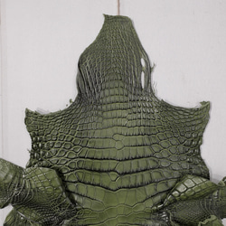 ワニ革  クレイ仕上げ  フォレストグリーン「長財布向け」サイズ No.CM0033 3枚目の画像