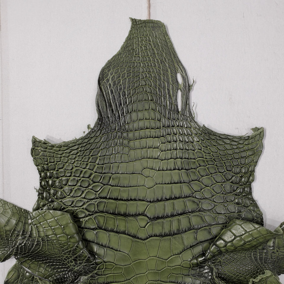 ワニ革  クレイ仕上げ  フォレストグリーン「長財布向け」サイズ No.CM0033 3枚目の画像