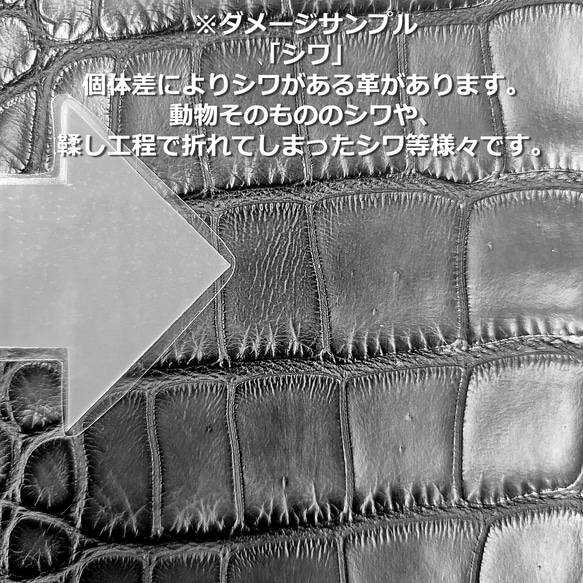 ワニ革  クレイ仕上げ  フォレストグリーン「長財布向け」サイズ No.CM0033 11枚目の画像