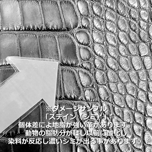 ワニ革  クレイ仕上げ  フォレストグリーン「長財布向け」サイズ No.CM0033 12枚目の画像