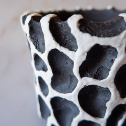 3.5号白化粧黒鉢093　塊根植物　多肉植物　アガベ　盆栽　植木鉢　作家鉢　鉢皿　沖縄 2枚目の画像