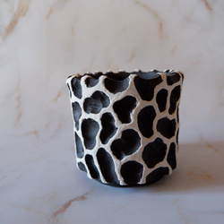 3.5号白化粧黒鉢093　塊根植物　多肉植物　アガベ　盆栽　植木鉢　作家鉢　鉢皿　沖縄 3枚目の画像