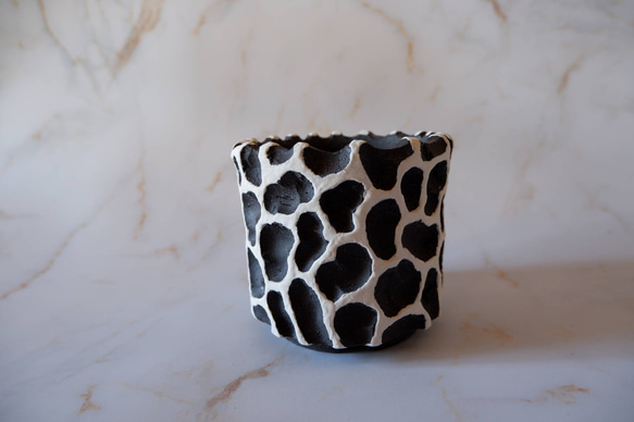 3.5号白化粧黒鉢093　塊根植物　多肉植物　アガベ　盆栽　植木鉢　作家鉢　鉢皿　沖縄 3枚目の画像