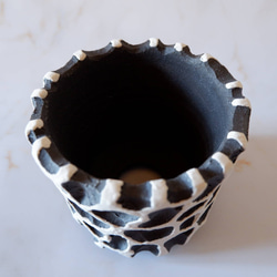 3.5号白化粧黒鉢093　塊根植物　多肉植物　アガベ　盆栽　植木鉢　作家鉢　鉢皿　沖縄 4枚目の画像