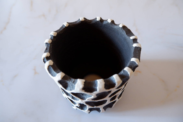 3.5号白化粧黒鉢093　塊根植物　多肉植物　アガベ　盆栽　植木鉢　作家鉢　鉢皿　沖縄 4枚目の画像