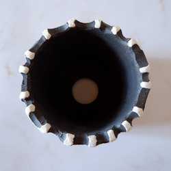 3.5号白化粧黒鉢093　塊根植物　多肉植物　アガベ　盆栽　植木鉢　作家鉢　鉢皿　沖縄 5枚目の画像