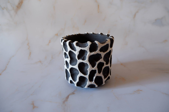 3.5号白化粧黒鉢093　塊根植物　多肉植物　アガベ　盆栽　植木鉢　作家鉢　鉢皿　沖縄 1枚目の画像