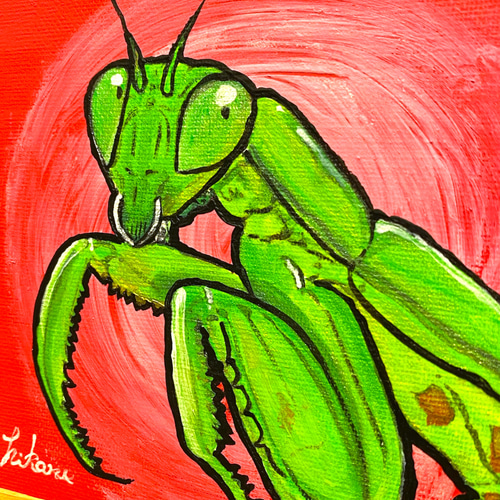 原画【ハラビロカマキリの姫子】カマキリ キャンバス画 昆虫 虫