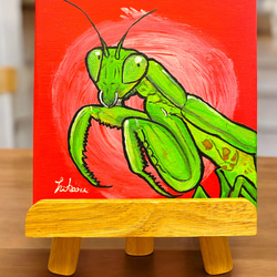 原画【ハラビロカマキリの姫子】カマキリ キャンバス画 昆虫 虫