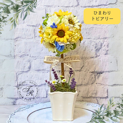 14b67a4acf8025ec53cbf46697e7c2