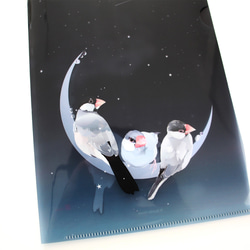 【A5】クリアファイル「星屑文鳥」 4枚目の画像